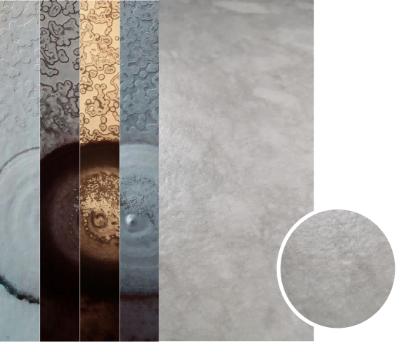 ΢ͼƬ_20220613152359(1).png